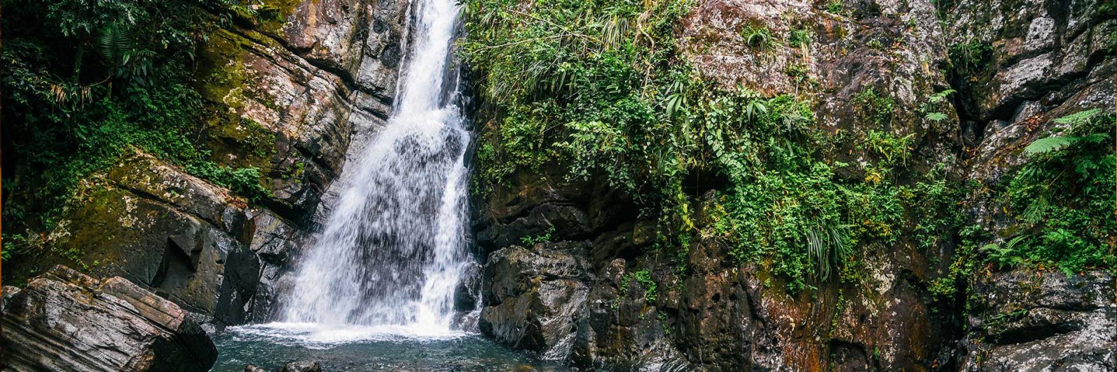 El- Yunque Fall