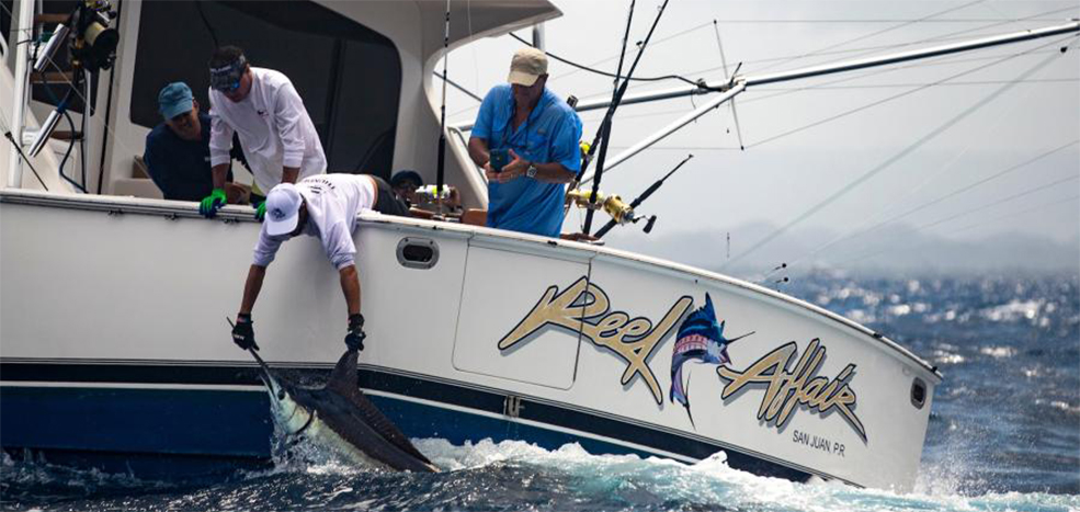 Billfish Tournament