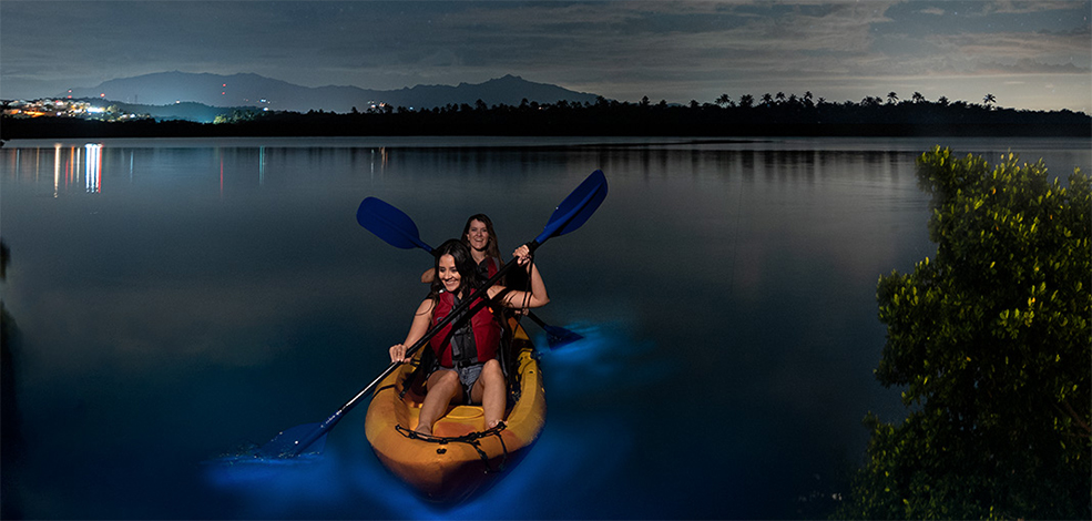 Bioluminescent Bays