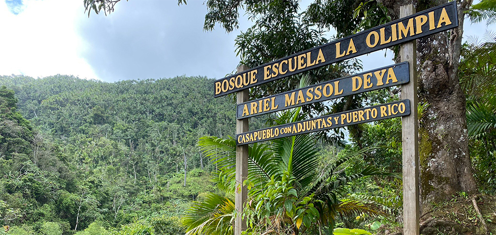 Bosque Escuela La Olimpia