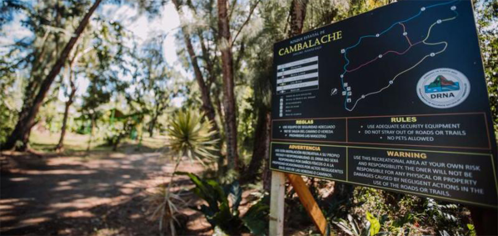 Cambalache State Forest