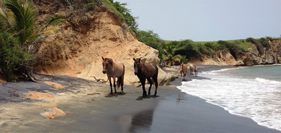 Cayo de Tierra