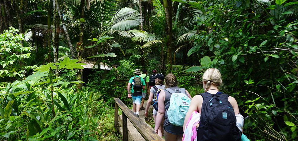 El Yunque