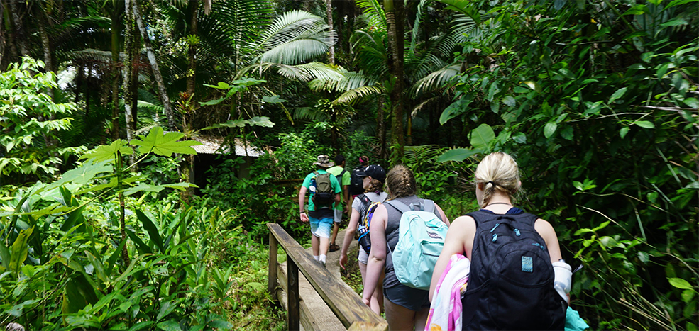 El Yunque National Forest