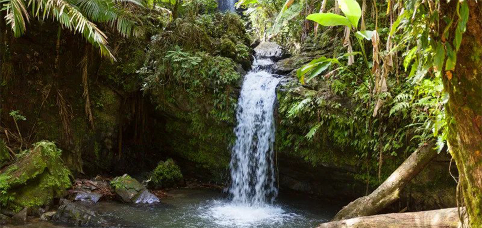 Juan Diego Falls