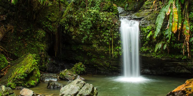 Puerto Rico Natural Wonders