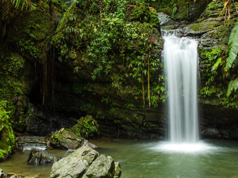 Puerto Rico Natural Wonders