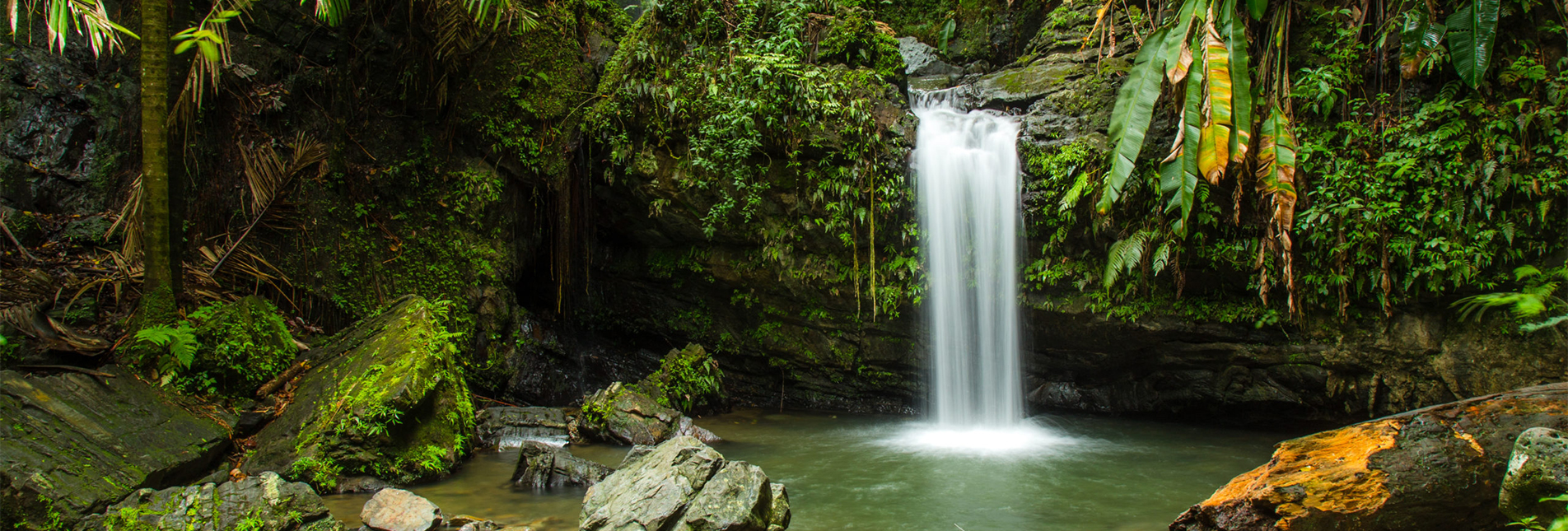 Puerto Rico Natural Wonders | Quedate en Puerto Rico