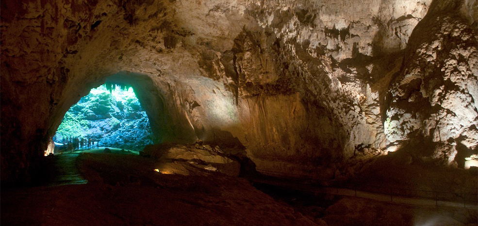 Río Camuy Cave Park